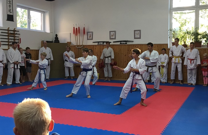 karate.jpeg (139 KB)