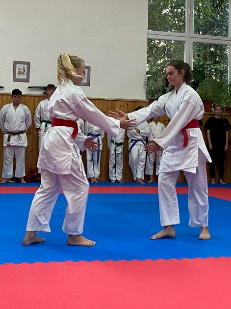 AikidoKids 2.JPG (138 KB)