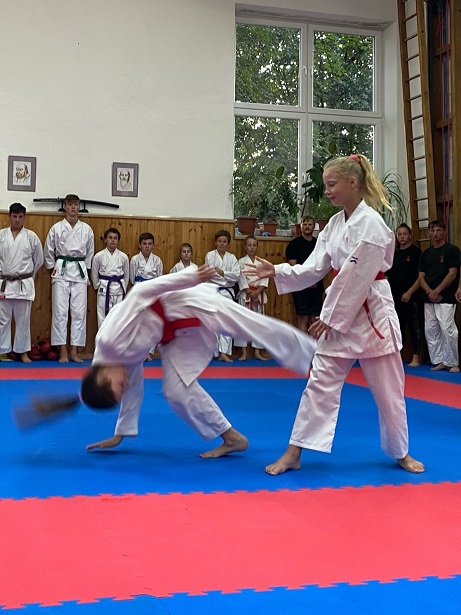 AikidoKids 3.JPG (131 KB)