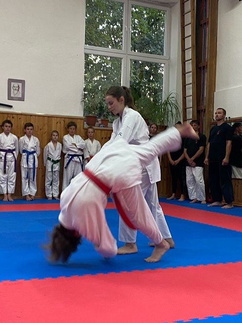 AikidoKids 4.JPG (143 KB)