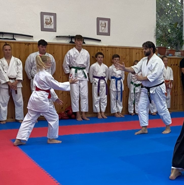 AikidoKids 7.jpg (154 KB)