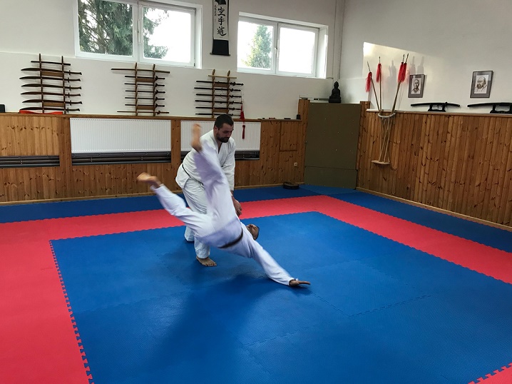 aikido 2.JPG (133 KB)